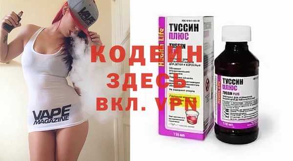 индика Алексин