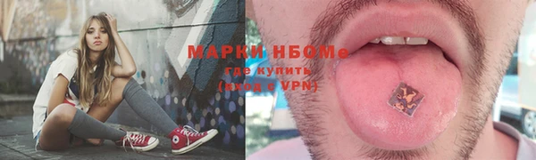индика Алексин