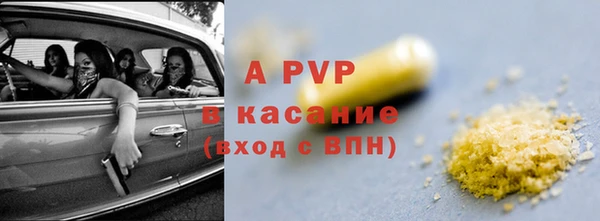 индика Алексин