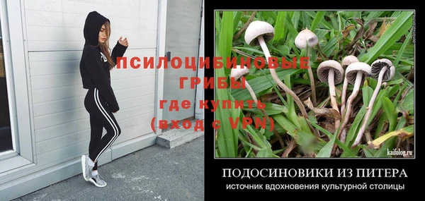 индика Алексин