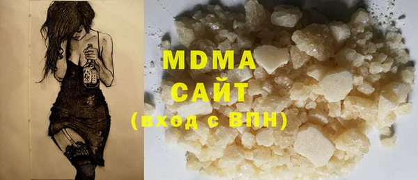 индика Алексин