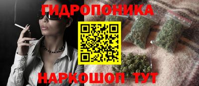 шишки Нальчик