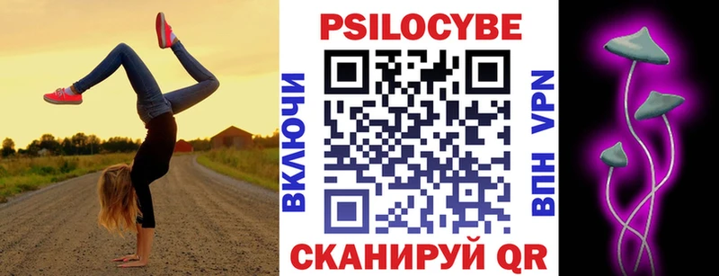 Галлюциногенные грибы Psilocybine cubensis  Новошахтинск 