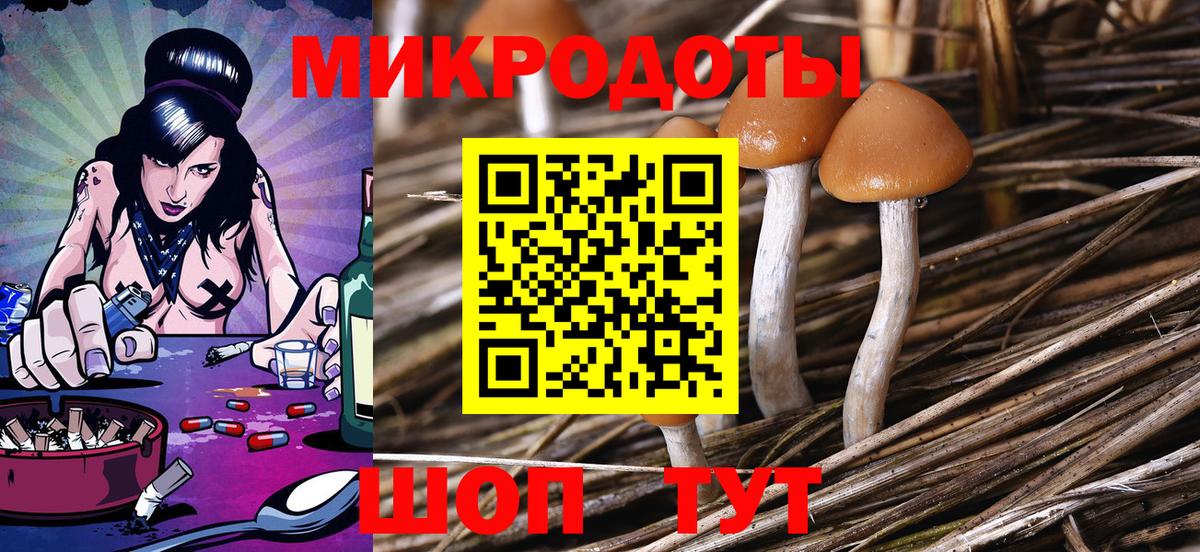 Галлюциногенные грибы прущие грибы Новошахтинск