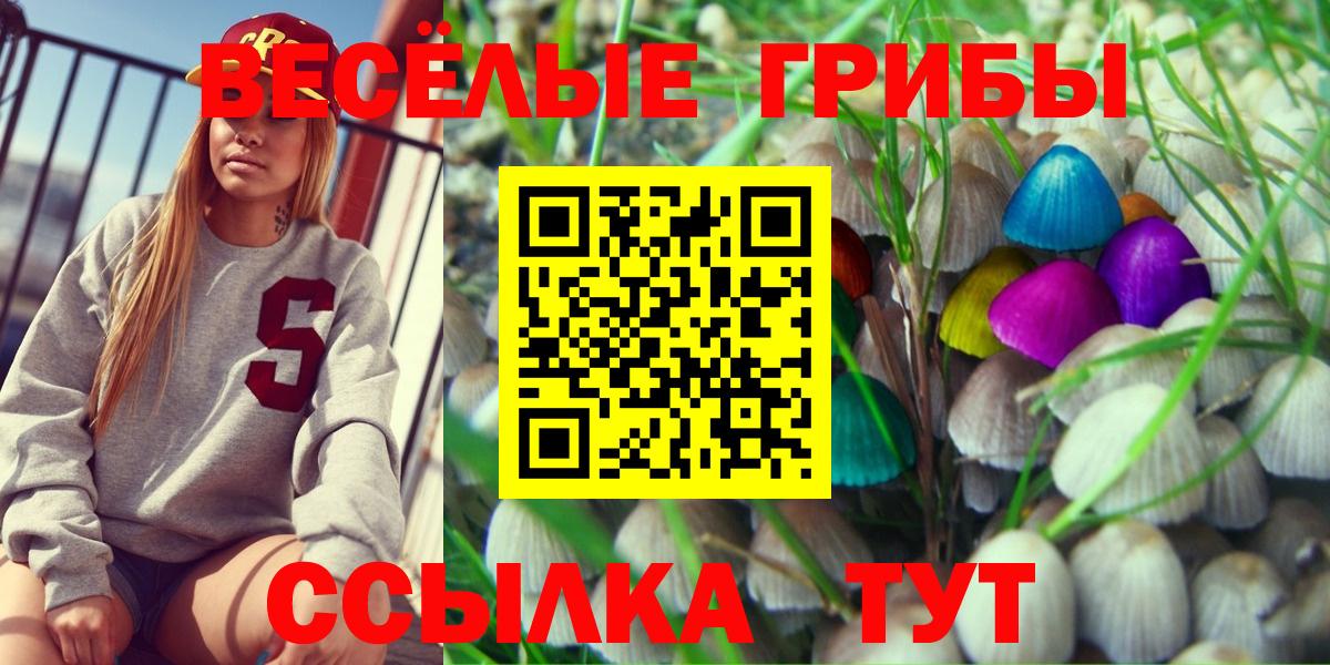 Галлюциногенные грибы Cubensis  Вход с VPN  Новошахтинск 