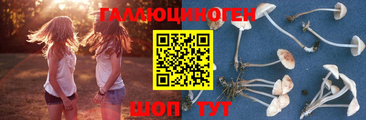 Новошахтинск  Галлюциногенные грибы ЛСД  Вход с VPN 